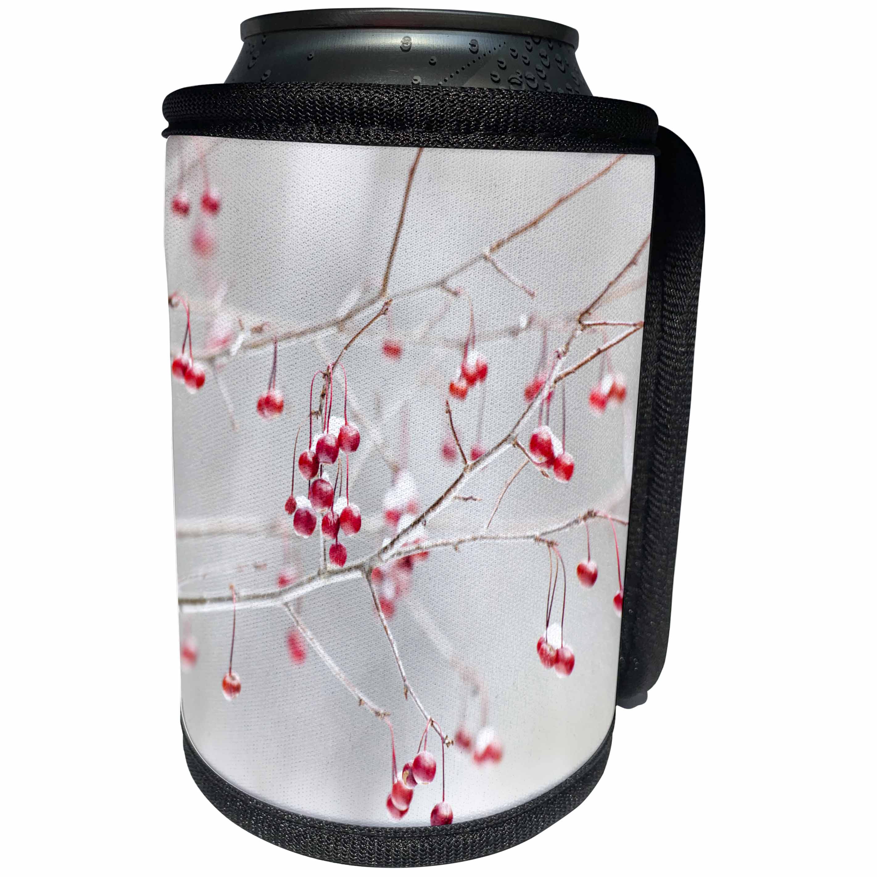 3dRose TDSwhite – Photography - Red Winter Season Branches Icy Berries Christmas Holiday Colors - Can Cooler Bottle Wrap (cc_266464)