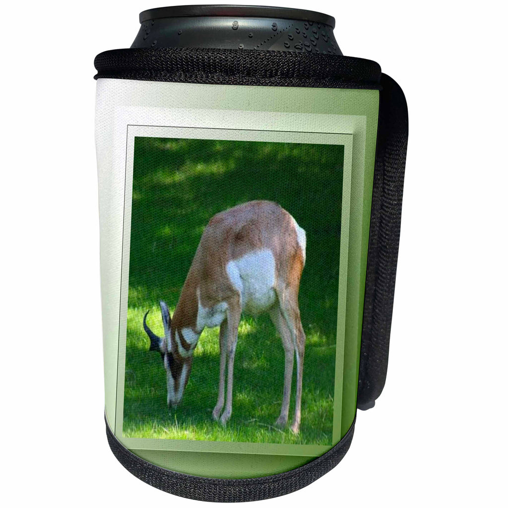 3dRose SmudgeArt Photography Art Designs - Zoo Antelope - Can Cooler Bottle Wrap (cc_26661)
