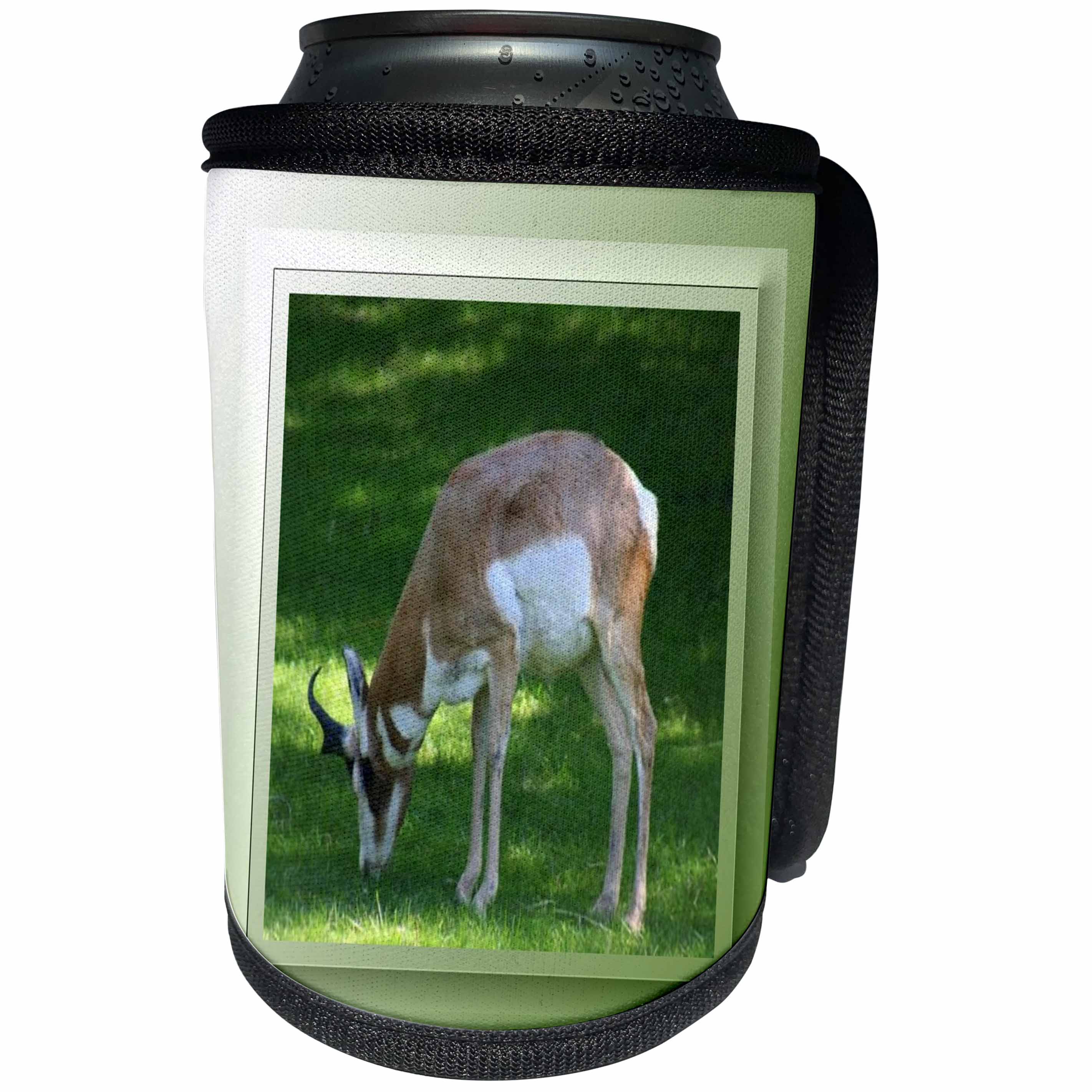 3dRose SmudgeArt Photography Art Designs - Zoo Antelope - Can Cooler Bottle Wrap (cc_26661)