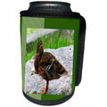 3dRose SmudgeArt Photography Art Designs - Mallard Duck - Can Cooler Bottle Wrap (cc_26664)