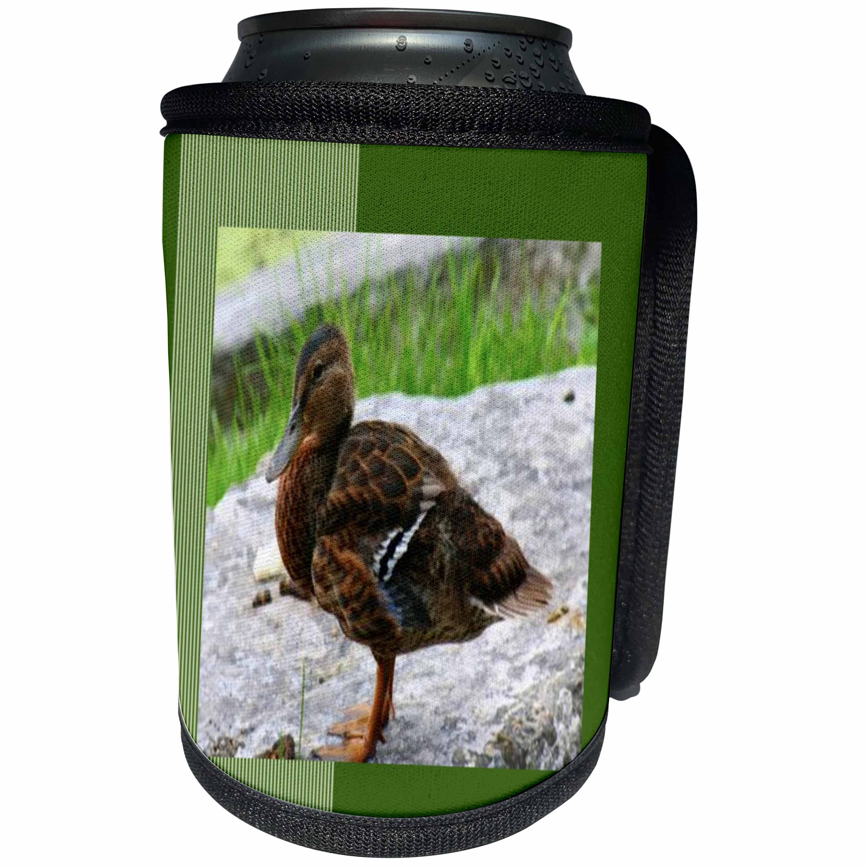 3dRose SmudgeArt Photography Art Designs - Mallard Duck - Can Cooler Bottle Wrap (cc_26664)