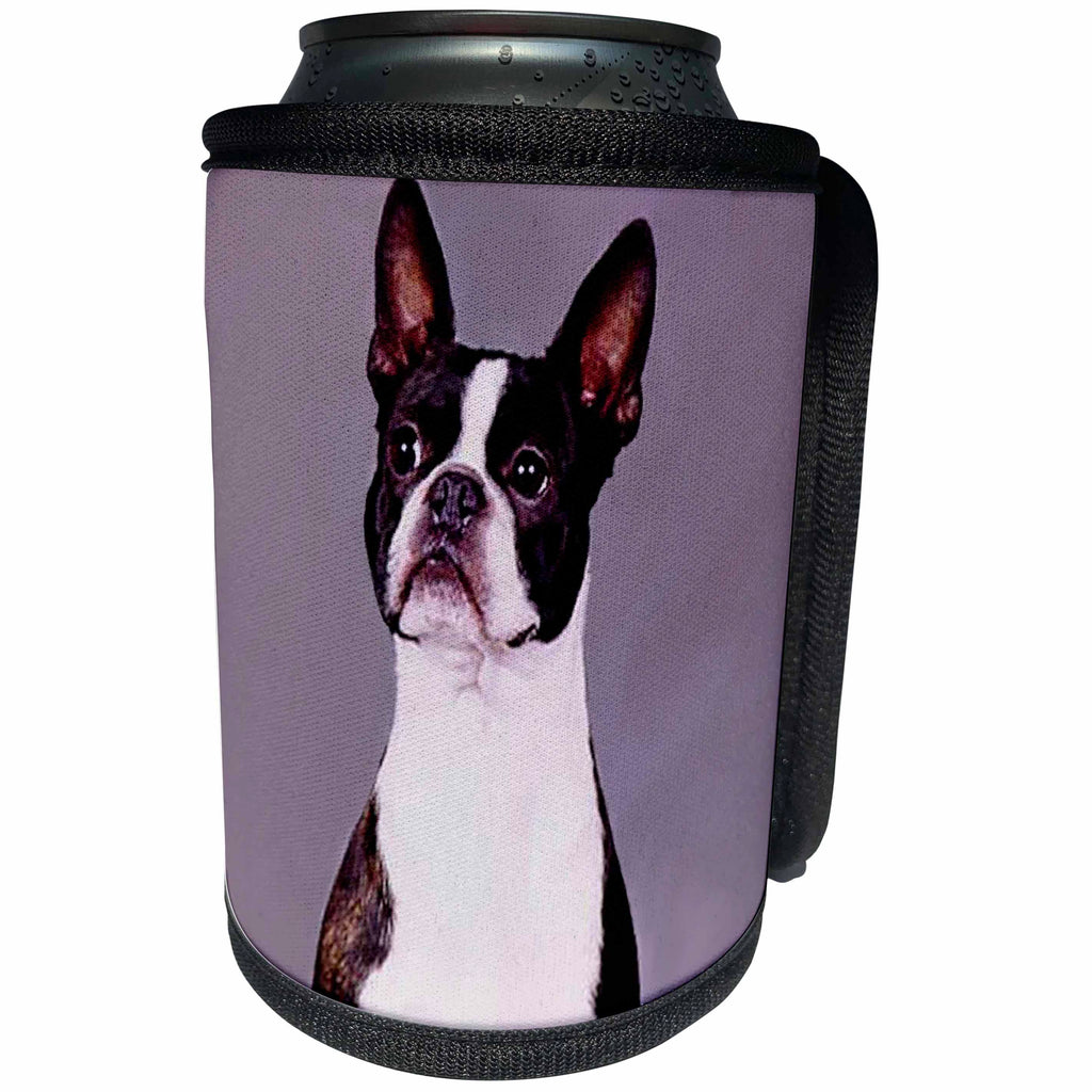 3dRose Dogs Boston Terrier - Boston Terrier - Can Cooler Bottle Wrap (cc_267)