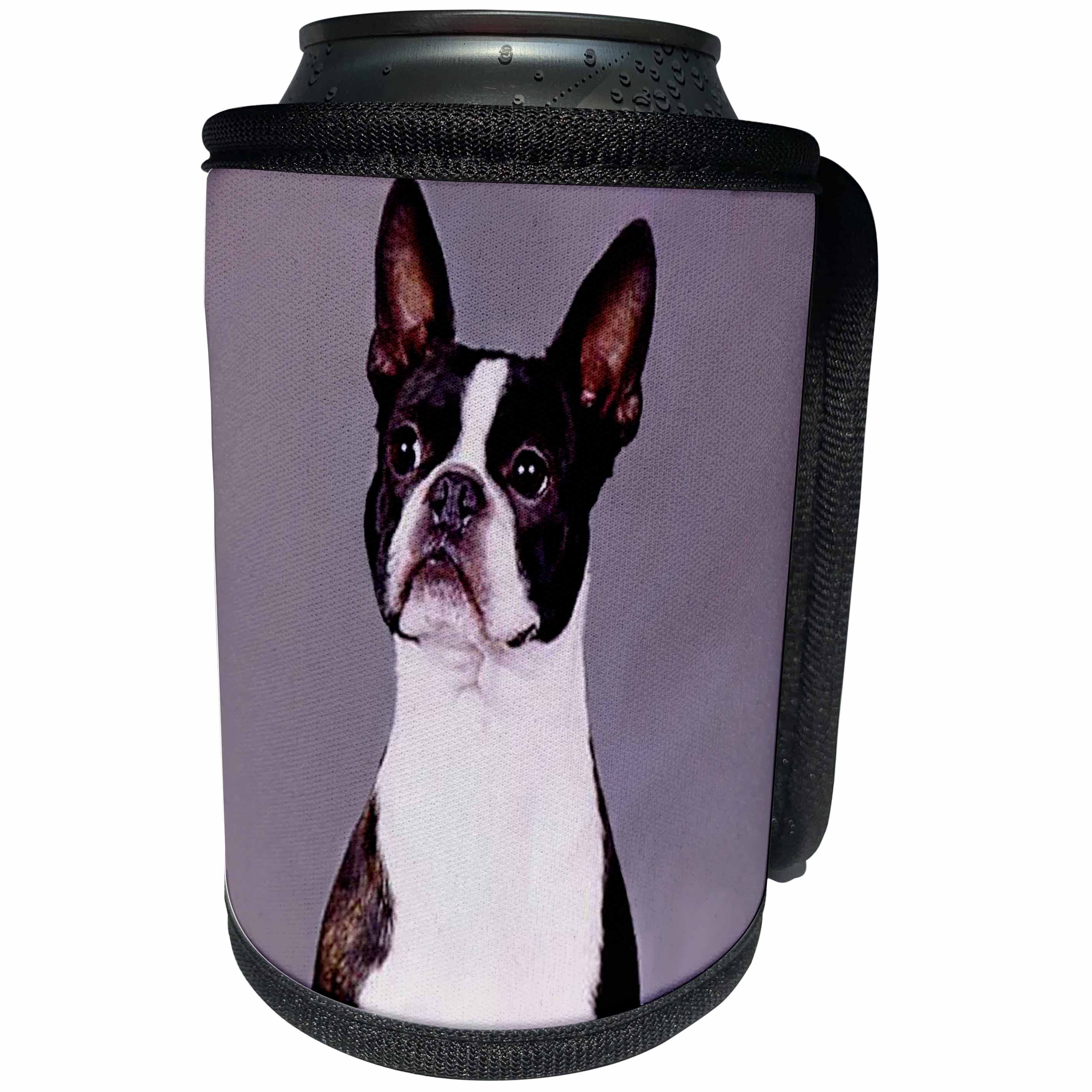 3dRose Dogs Boston Terrier - Boston Terrier - Can Cooler Bottle Wrap (cc_267)