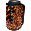 3dRose Alexis Photography - Food Nut - Cedar nuts and a cedar cone. Brown colors - Can Cooler Bottle Wrap (cc_267130)