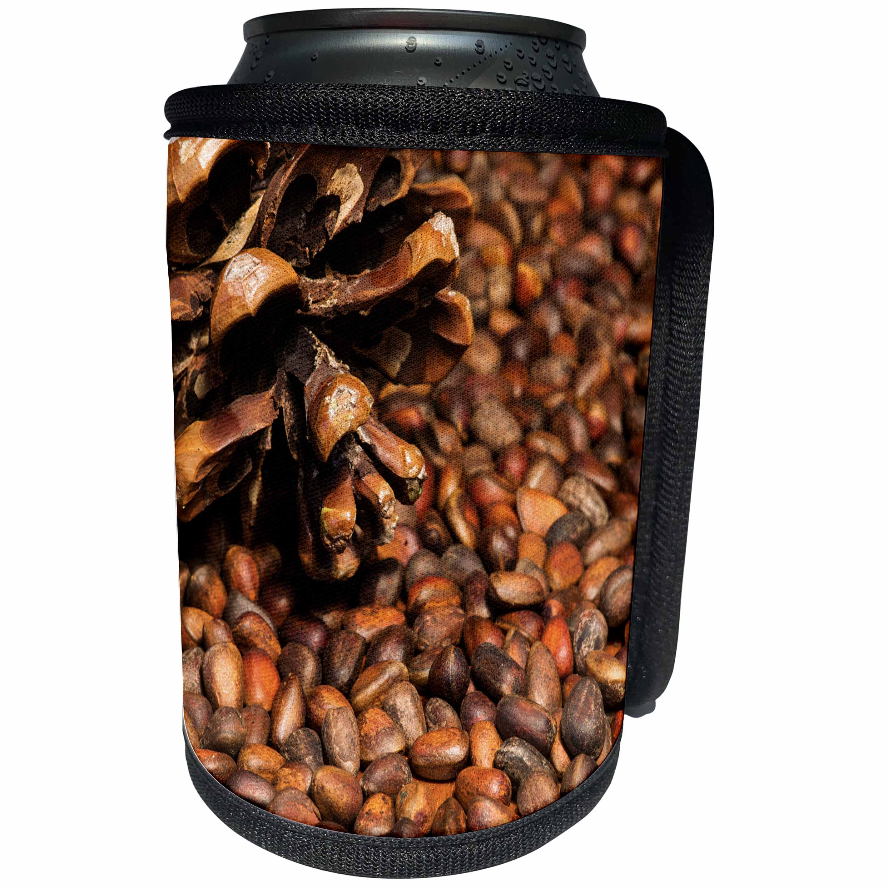 3dRose Alexis Photography - Food Nut - Cedar nuts and a cedar cone. Brown colors - Can Cooler Bottle Wrap (cc_267130)