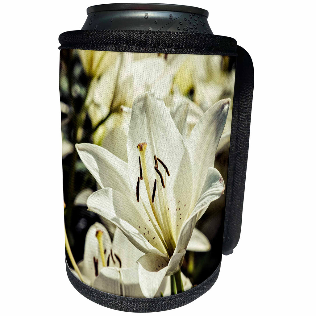 3dRose Alexis Photography - Flowers Lily - Beige lily flowers. Stylized image - Can Cooler Bottle Wrap (cc_267176)
