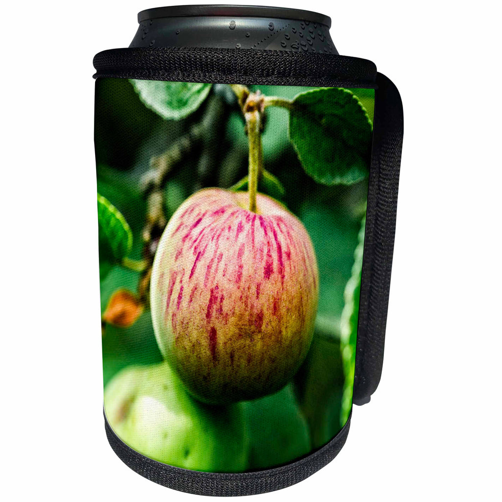 3dRose Alexis Photography - Food Apple - Red apple on a tree. Summer scene. Red and green colors - Can Cooler Bottle Wrap (cc_267181)