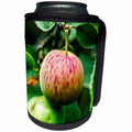 3dRose Alexis Photography - Food Apple - Red apple on a tree. Summer scene. Red and green colors - Can Cooler Bottle Wrap (cc_267181)