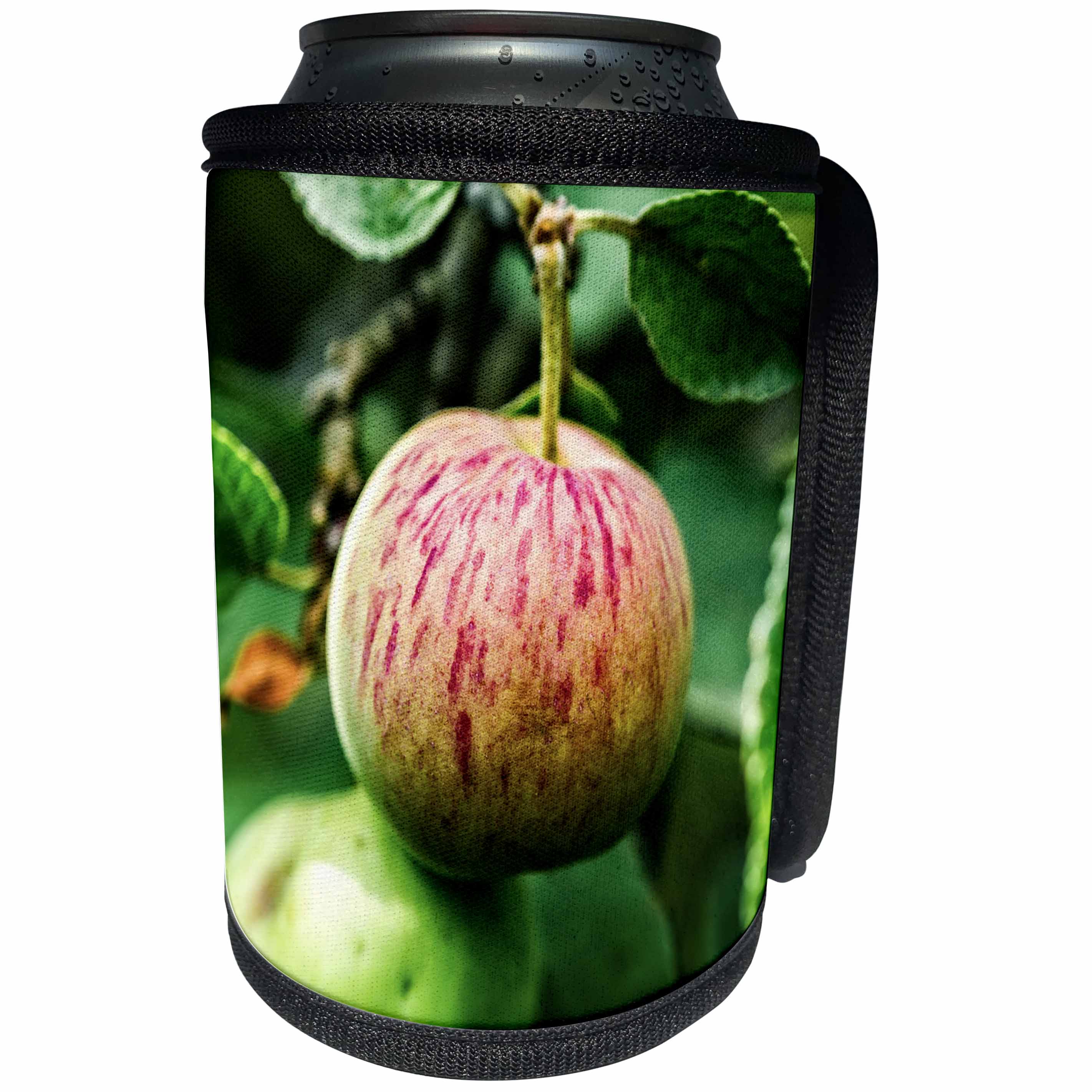 3dRose Alexis Photography - Food Apple - Red apple on a tree. Summer scene. Red and green colors - Can Cooler Bottle Wrap (cc_267181)