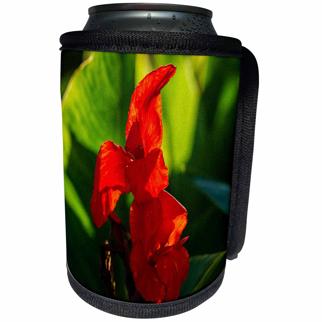 3dRose Alexis Photography - Flowers - Red gladiolus flower, green leaves - Can Cooler Bottle Wrap (cc_267221)