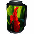 3dRose Alexis Photography - Flowers - Red gladiolus flower, green leaves - Can Cooler Bottle Wrap (cc_267221)