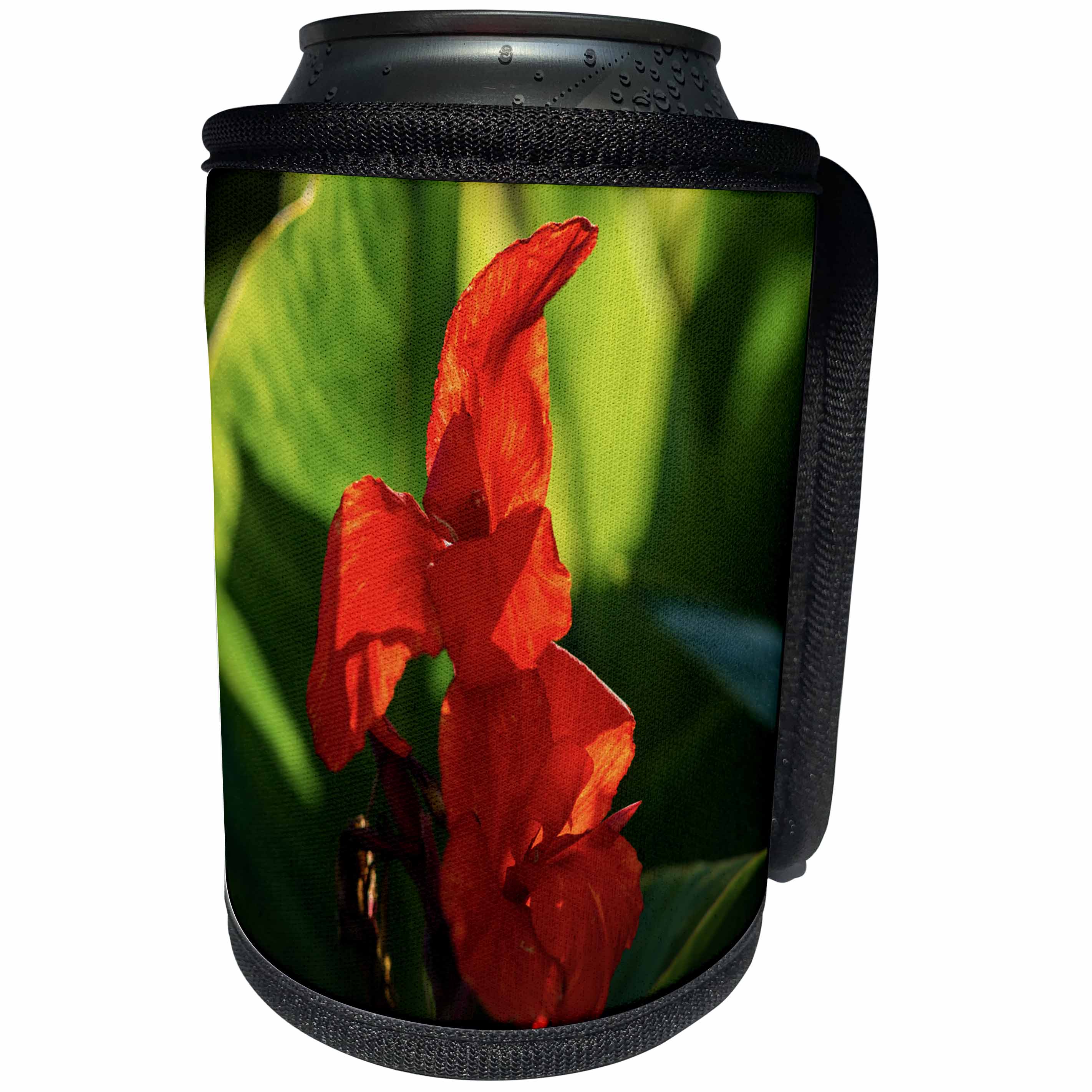 3dRose Alexis Photography - Flowers - Red gladiolus flower, green leaves - Can Cooler Bottle Wrap (cc_267221)
