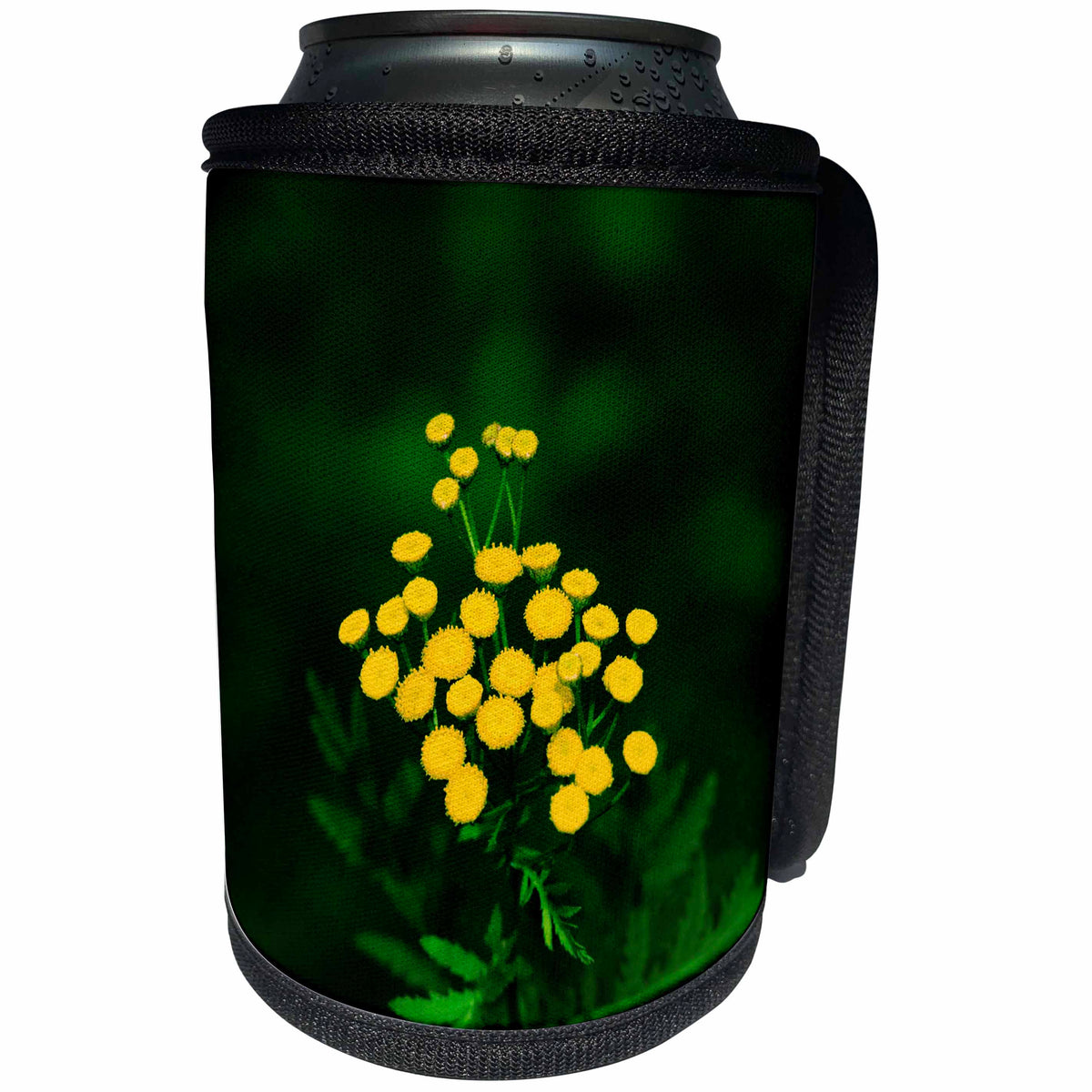 3dRose Alexis Photography - Flowers - Yellow tansy wildflowers, green leaves, dark background - Can Cooler Bottle Wrap (cc_267228)