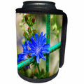 3dRose Alexis Photography - Flowers - Blue chicory flower, green metal grating, soft background - Can Cooler Bottle Wrap (cc_267229)