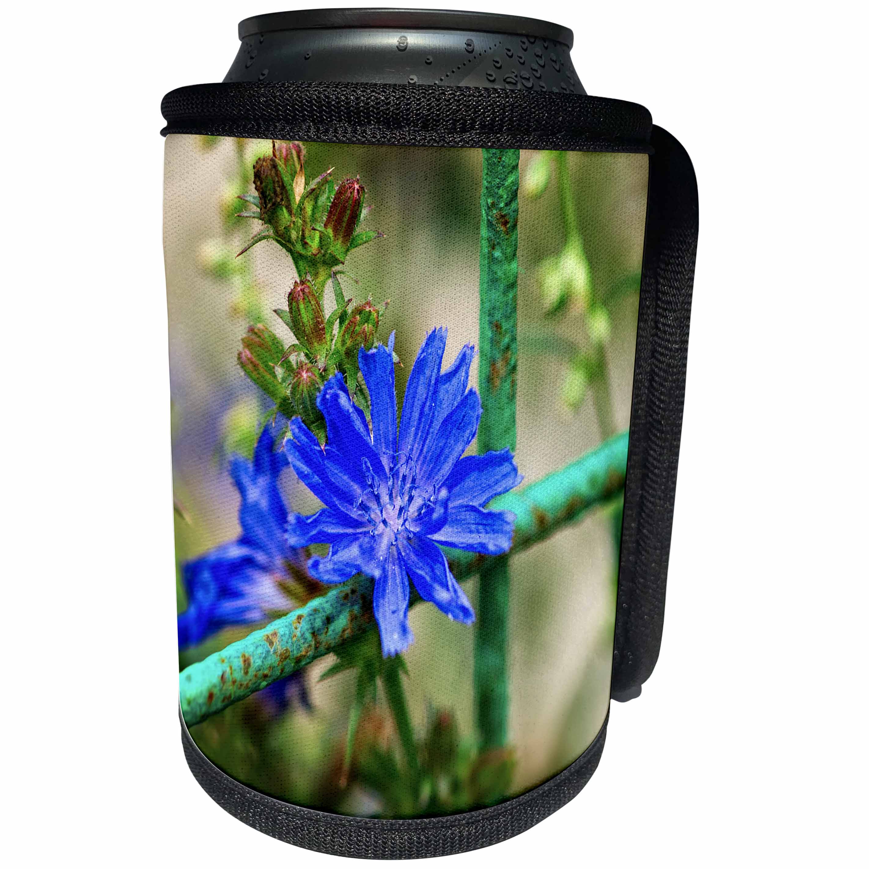 3dRose Alexis Photography - Flowers - Blue chicory flower, green metal grating, soft background - Can Cooler Bottle Wrap (cc_267229)