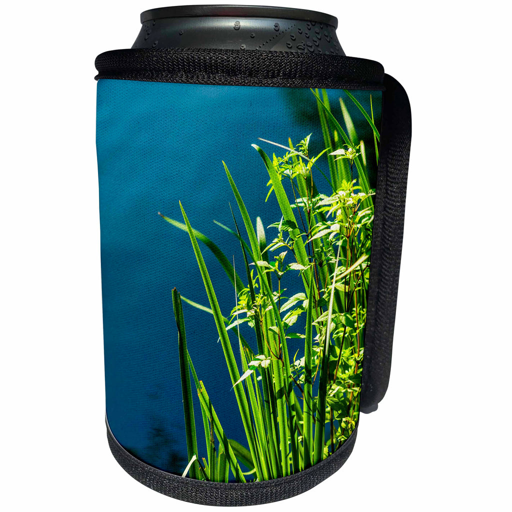 3dRose Alexis Photography - Nature Water - Sunlit ling grass by the dark pond water. Summer evening - Can Cooler Bottle Wrap (cc_267244)