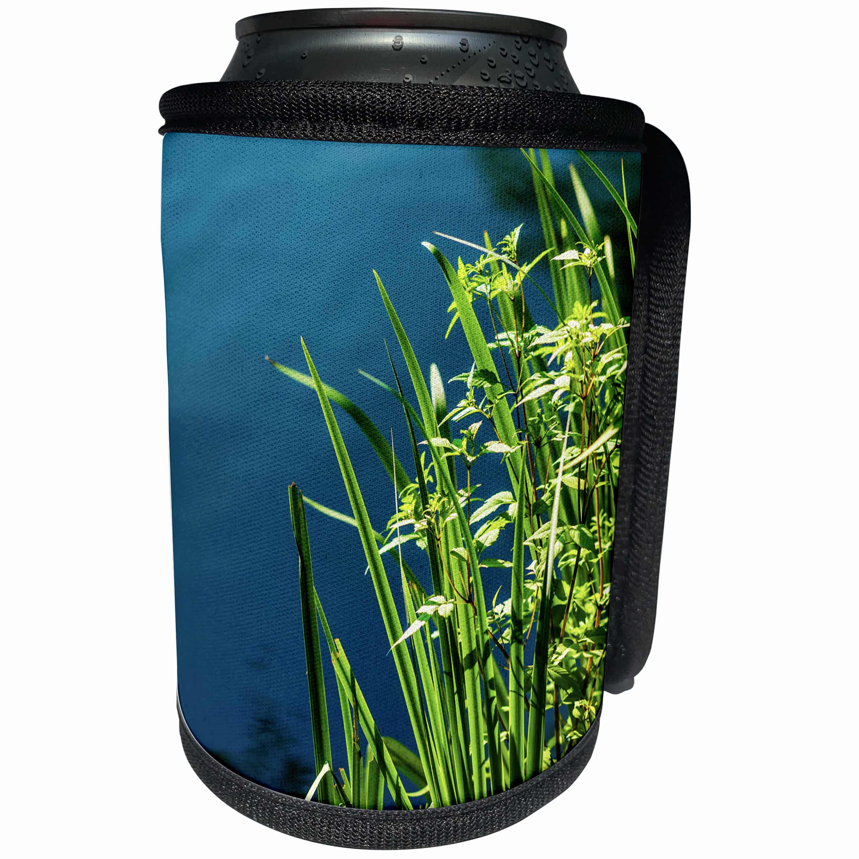 3dRose Alexis Photography - Nature Water - Sunlit ling grass by the dark pond water. Summer evening - Can Cooler Bottle Wrap (cc_267244)