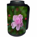 3dRose Alexis Photography - Flowers Rose - Small pink rose flower dark green background - Can Cooler Bottle Wrap (cc_267321)