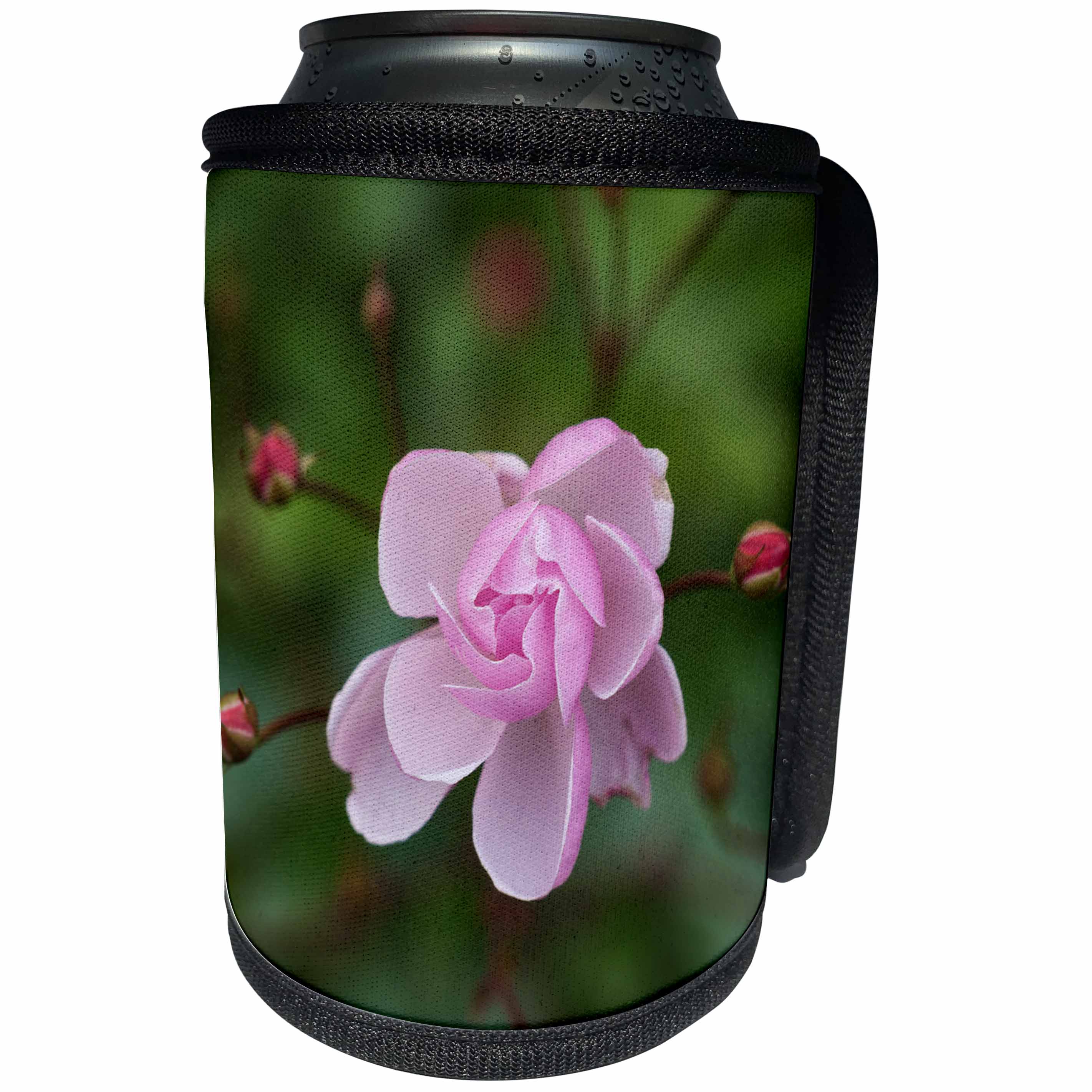 3dRose Alexis Photography - Flowers Rose - Small pink rose flower dark green background - Can Cooler Bottle Wrap (cc_267321)
