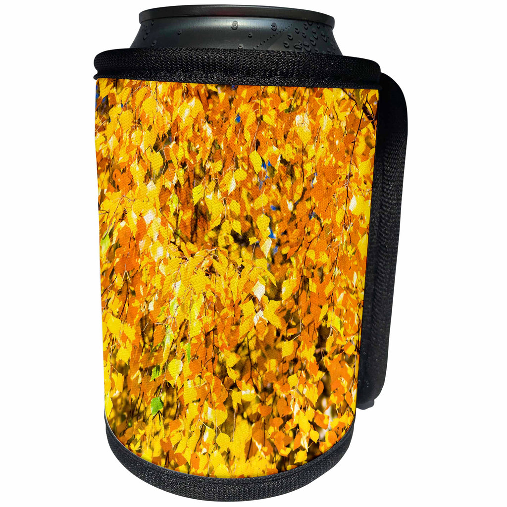 3dRose Alexis Photography - Seasons Autumn - Vibrant yellow foliage of a birch tree in autumn - Can Cooler Bottle Wrap (cc_267332)