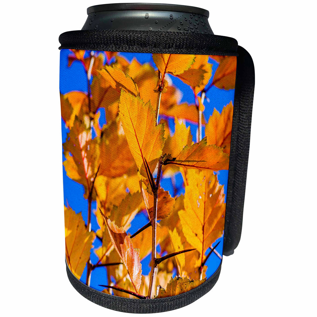 3dRose Alexis Photography - Seasons Autumn - Yellow hawthorn leaves and blue sky in autumn - Can Cooler Bottle Wrap (cc_267336)