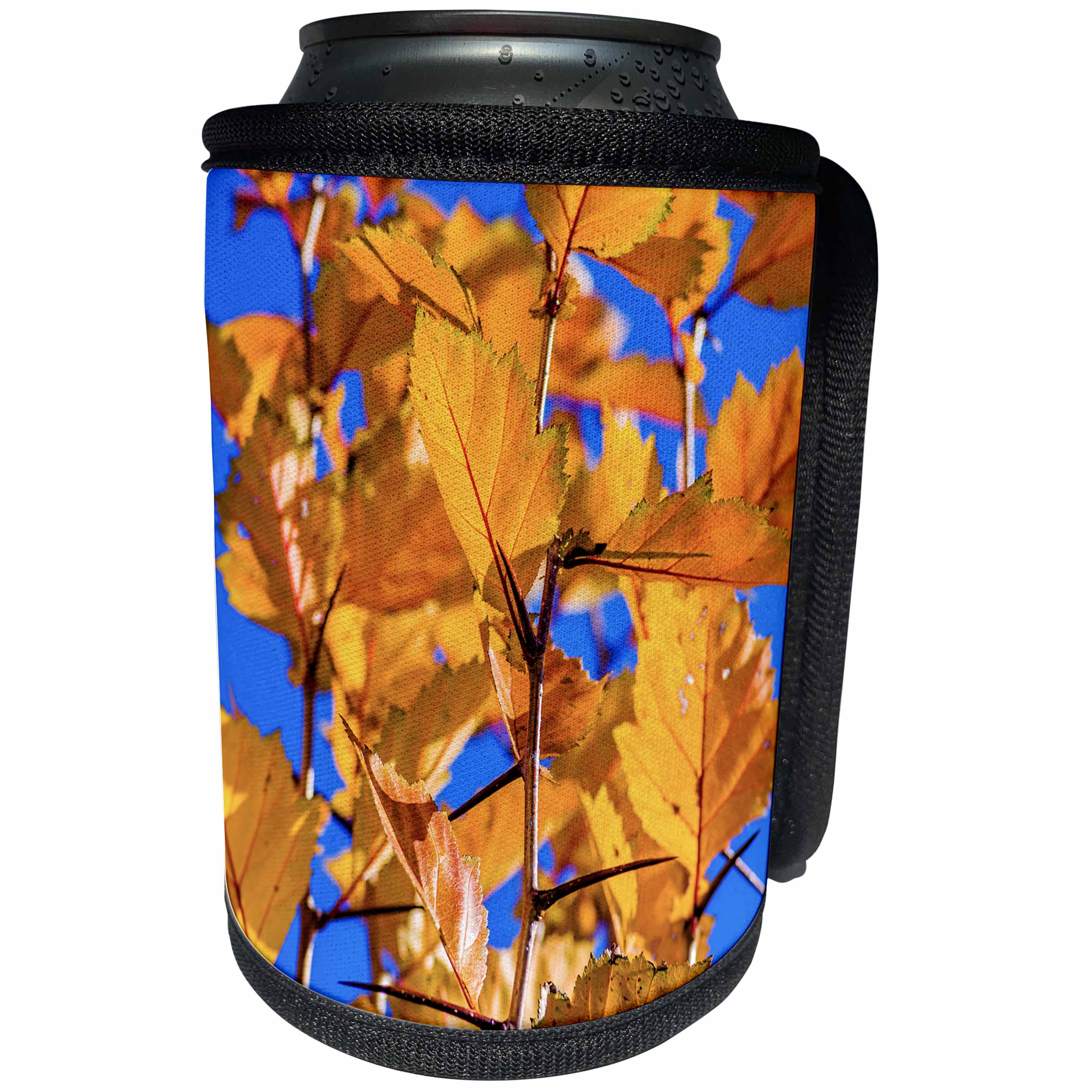 3dRose Alexis Photography - Seasons Autumn - Yellow hawthorn leaves and blue sky in autumn - Can Cooler Bottle Wrap (cc_267336)