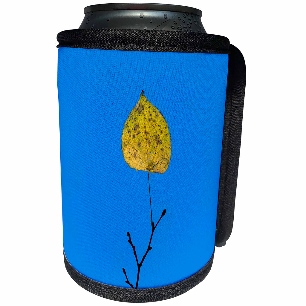 3dRose Alexis Photography - Seasons Autumn - Single yellow linden leaf, black twig, blue sky. Minimalist autumn - Can Cooler Bottle Wrap (cc_267344)
