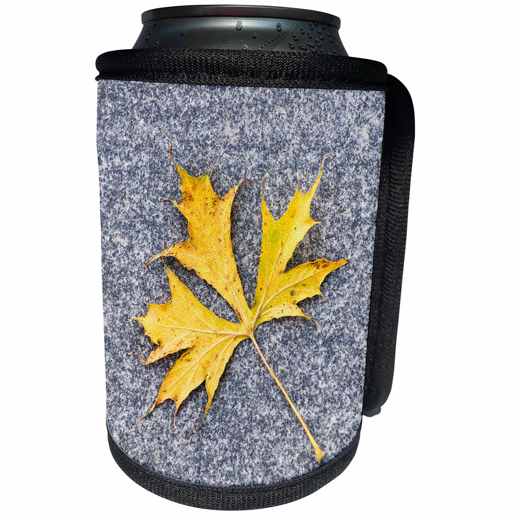 3dRose Alexis Photography - Seasons Autumn - Single yellow maple leaf, grey granite stone background - Can Cooler Bottle Wrap (cc_267349)