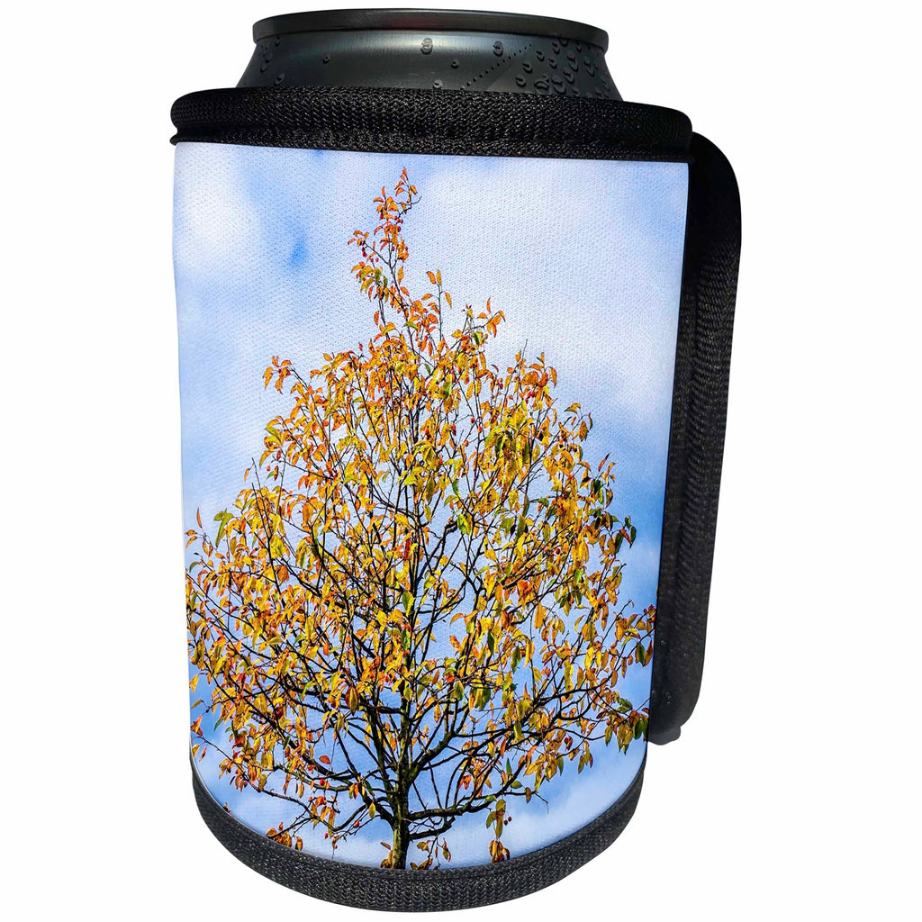 3dRose Alexis Photography - Seasons Autumn - Yellow crab apple tree against stormy sky - Can Cooler Bottle Wrap (cc_267386)