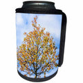 3dRose Alexis Photography - Seasons Autumn - Yellow crab apple tree against stormy sky - Can Cooler Bottle Wrap (cc_267386)