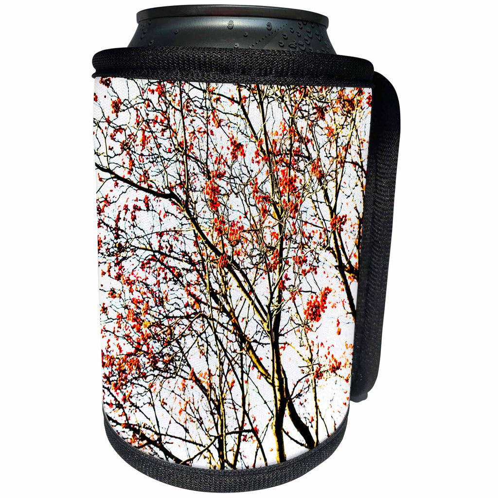 3dRose Alexis Photography - Seasons Autumn - Rowan tree, red, berries on white - Can Cooler Bottle Wrap (cc_267390)