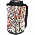 3dRose Alexis Photography - Seasons Autumn - Rowan tree, red, berries on white - Can Cooler Bottle Wrap (cc_267390)