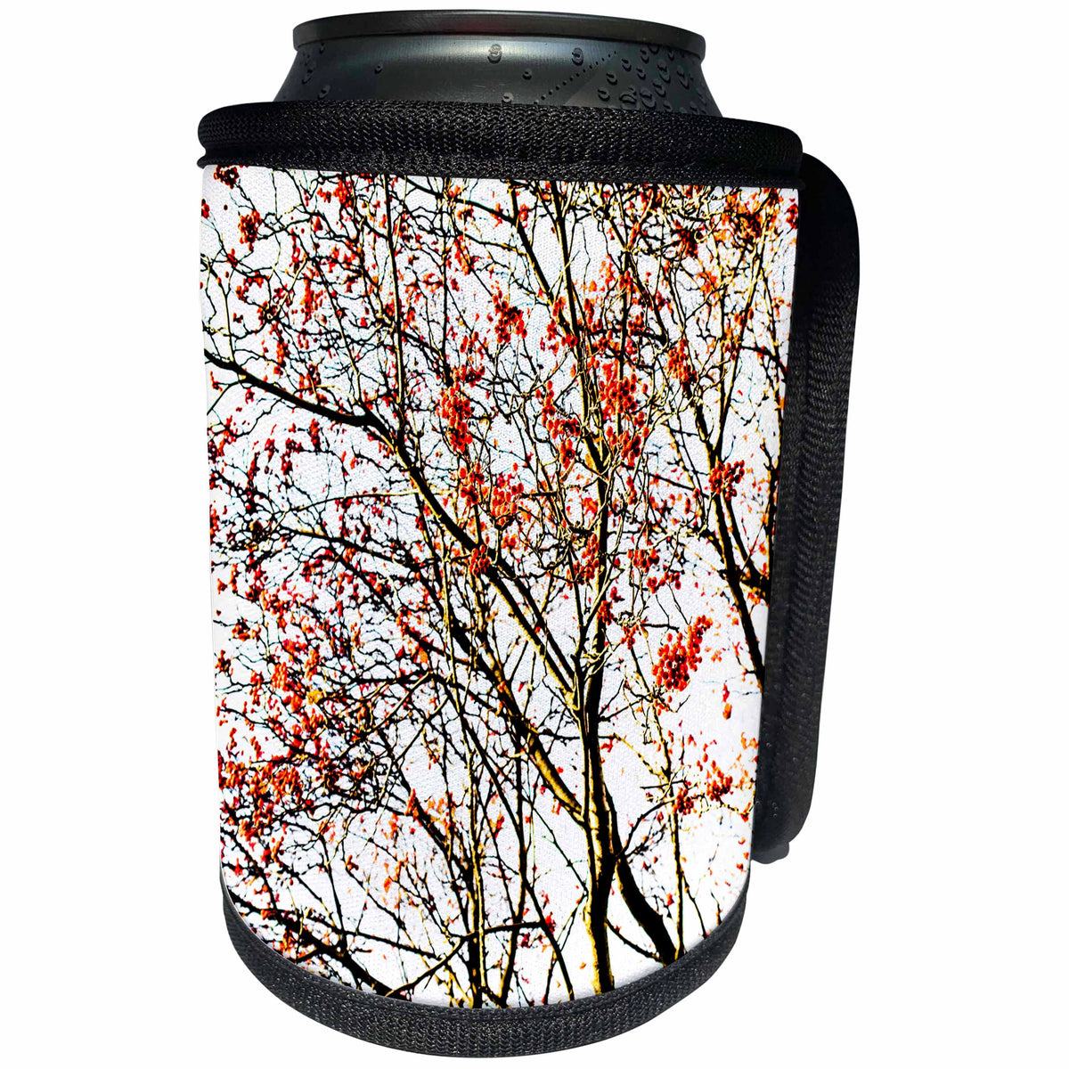 3dRose Alexis Photography - Seasons Autumn - Rowan tree, red, berries on white - Can Cooler Bottle Wrap (cc_267390)