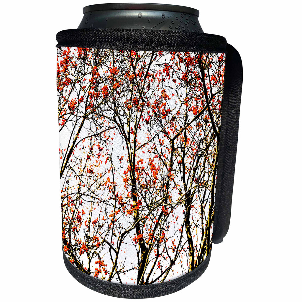 3dRose Alexis Photography - Seasons Autumn - Rowan tree, red berries, white background - Can Cooler Bottle Wrap (cc_267392)