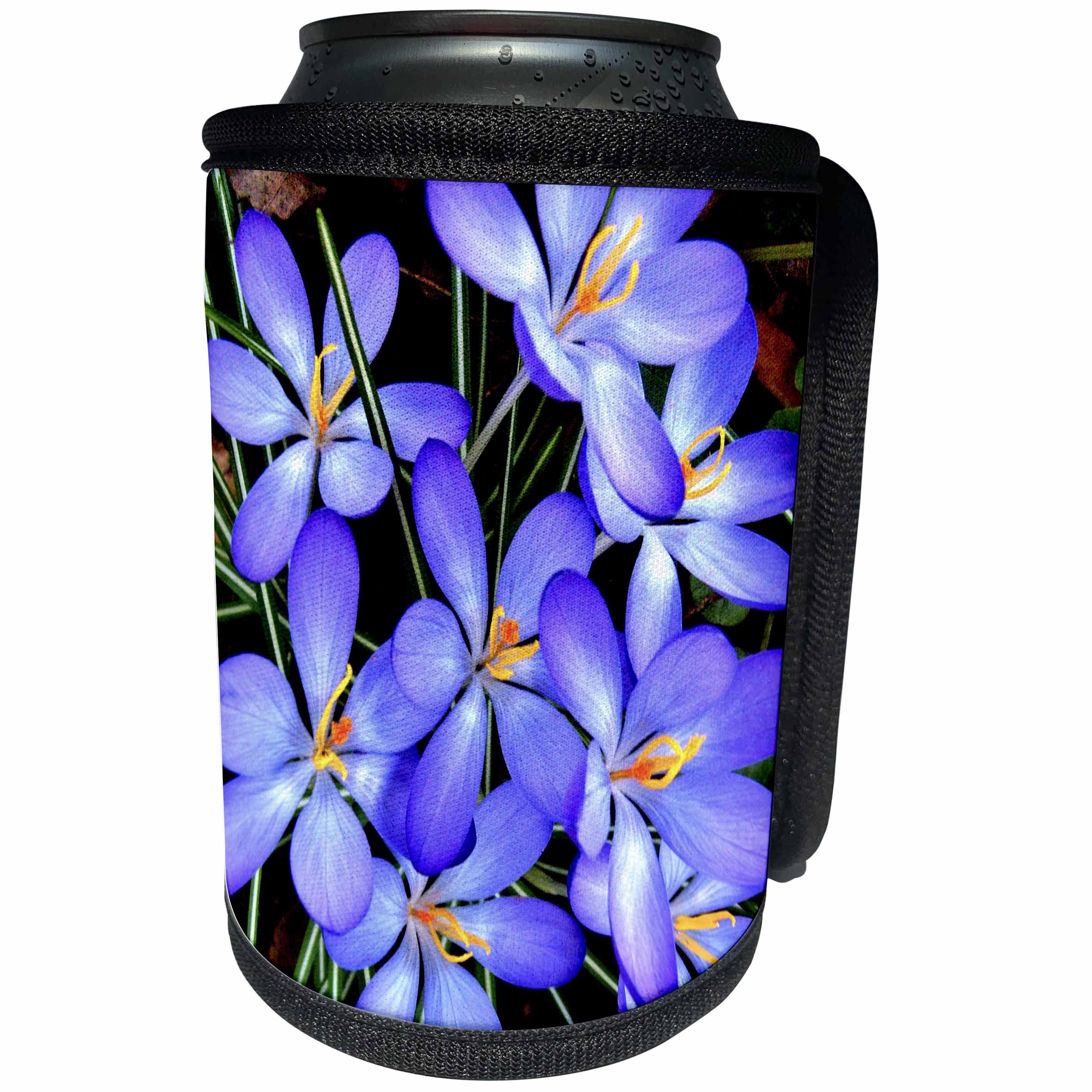 3dRose Costasonlineshop Photography Flowers - Beautiful Blue Wild Flower - Can Cooler Bottle Wrap (cc_267868)