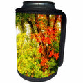 3dRose Boehm Photography Season Fall - Autumn Yellow Green and Red - Can Cooler Bottle Wrap (cc_268053)