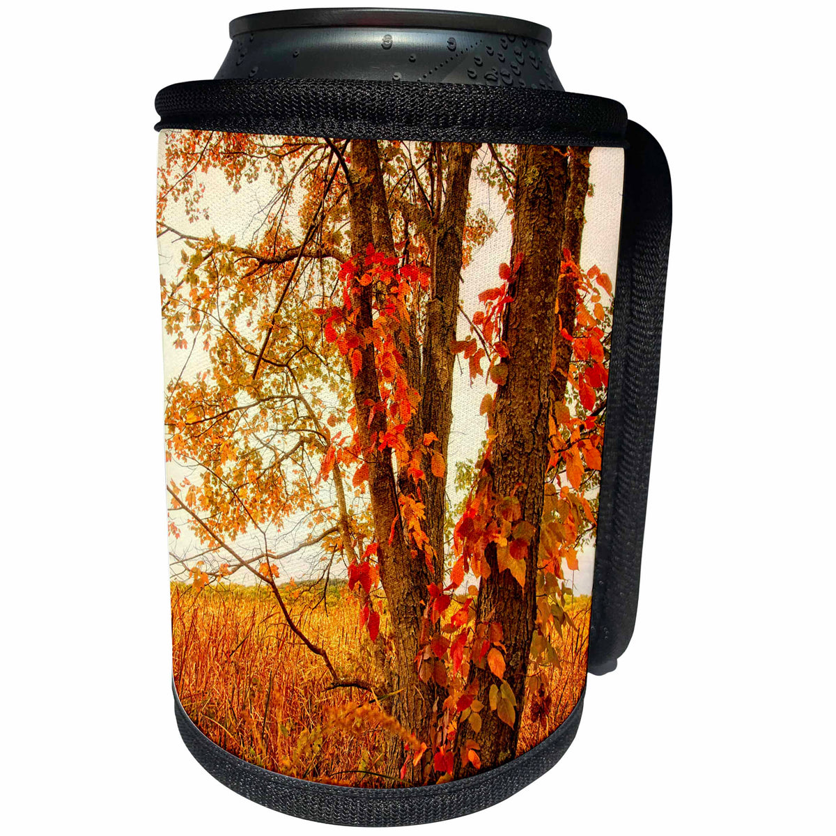 3dRose Boehm Photography Season Fall - Autumn Orange and Red - Can Cooler Bottle Wrap (cc_268054)