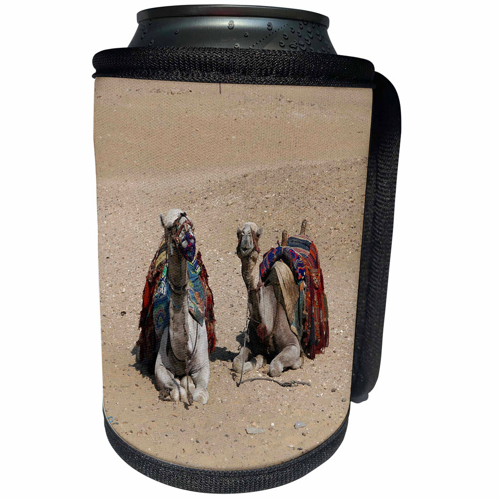 3dRose Angelique Cajam Egypt - Two camels in the desert - Can Cooler Bottle Wrap (cc_26808)