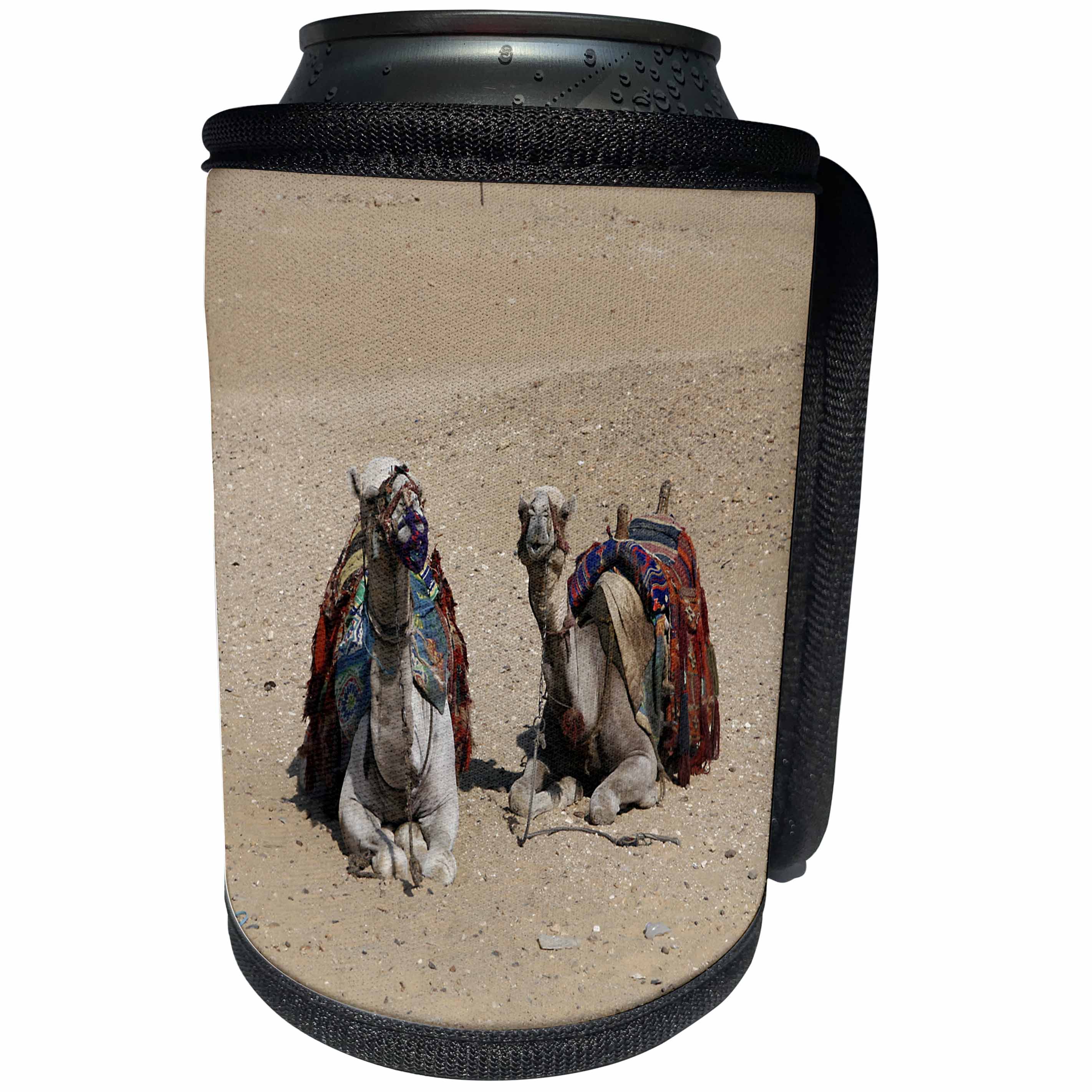 3dRose Angelique Cajam Egypt - Two camels in the desert - Can Cooler Bottle Wrap (cc_26808)