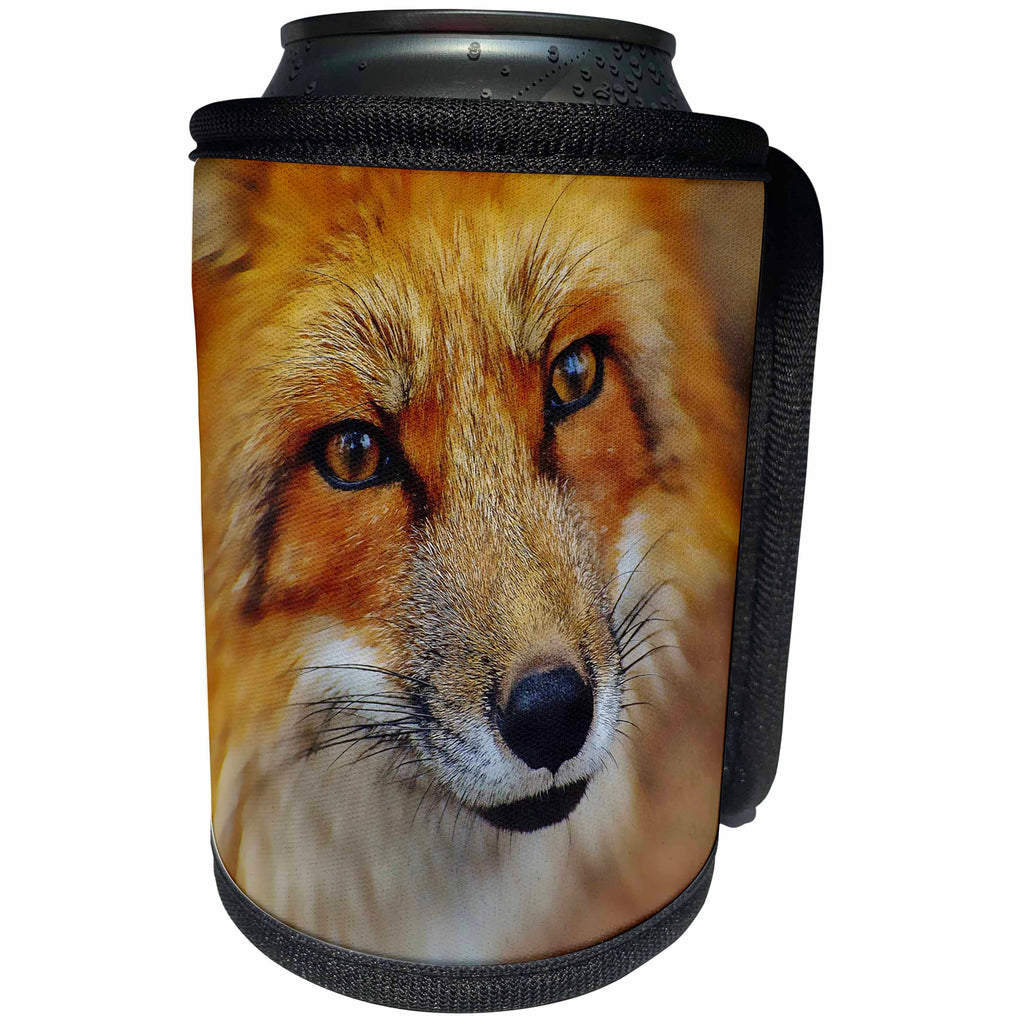 3dRose Andrea Haase Animals Photo - Cute Fox Face Close Up Photo - Can Cooler Bottle Wrap (cc_268137)
