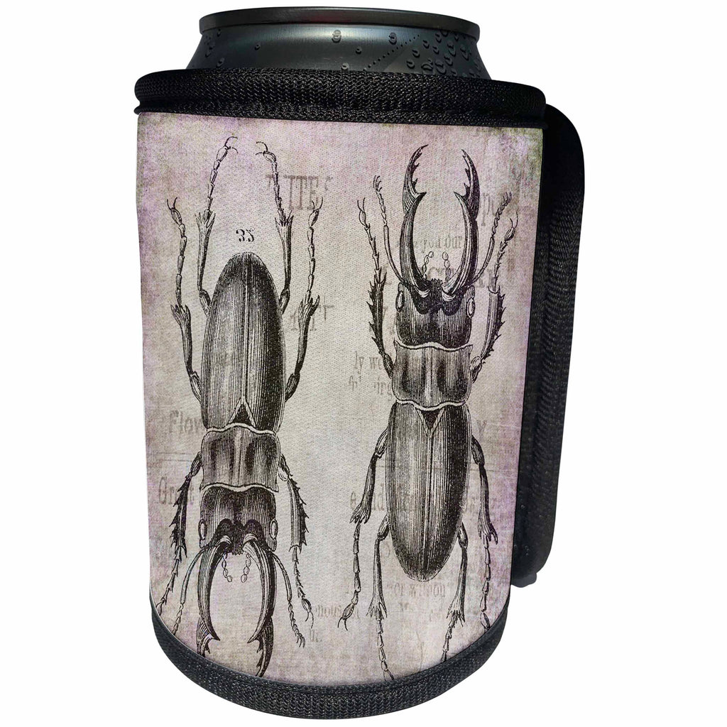 3dRose Andrea Haase Animals Illustration - Vintage Beetle Mixed Media Art - Can Cooler Bottle Wrap (cc_268138)