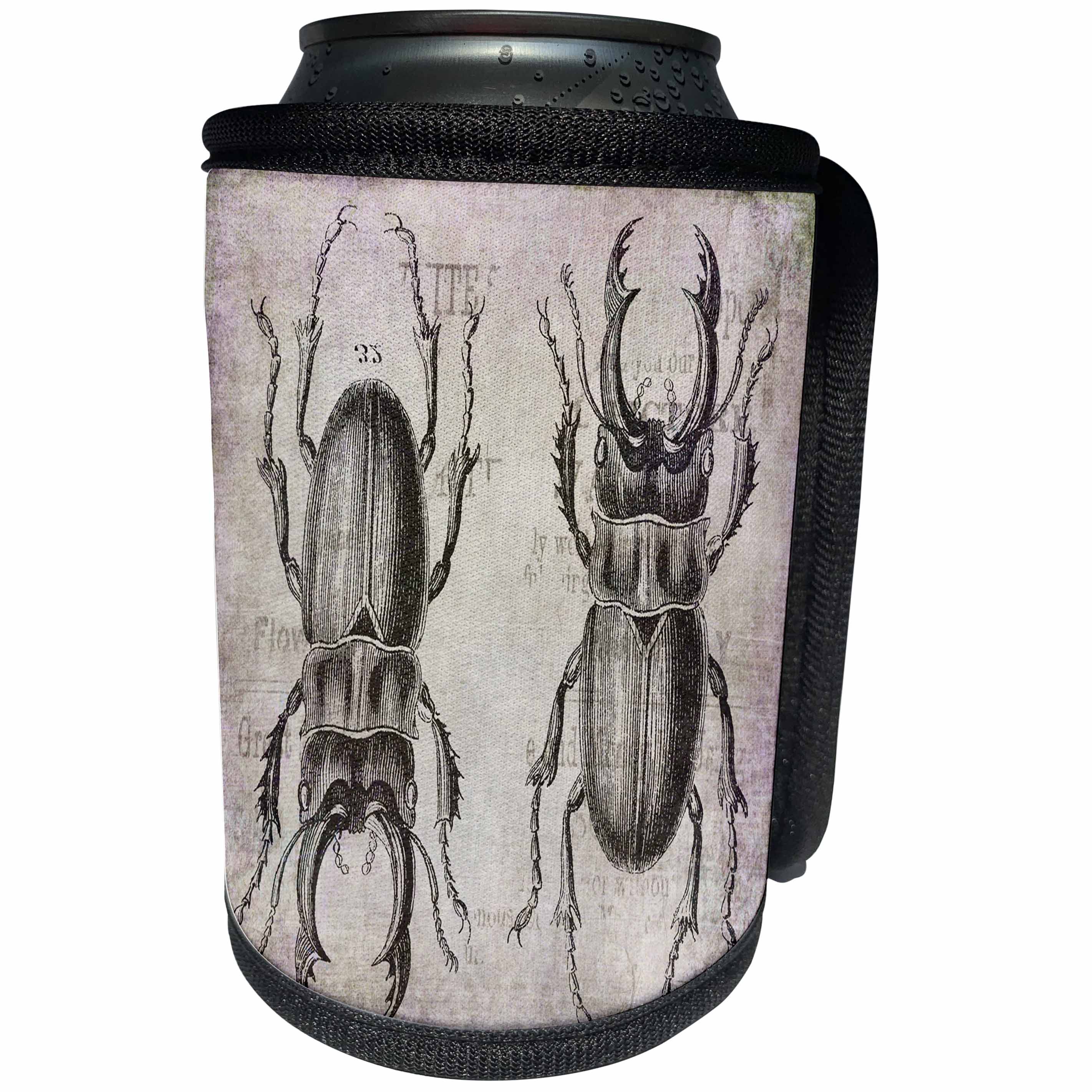 3dRose Andrea Haase Animals Illustration - Vintage Beetle Mixed Media Art - Can Cooler Bottle Wrap (cc_268138)