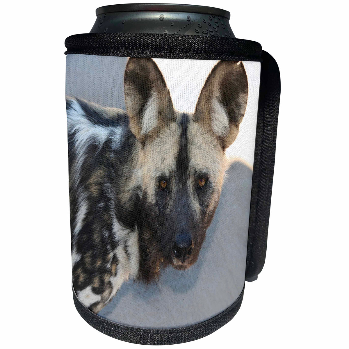 3dRose Angelique Cajams Safari Animals - South African Wild Dog head shot - Can Cooler Bottle Wrap (cc_26815)