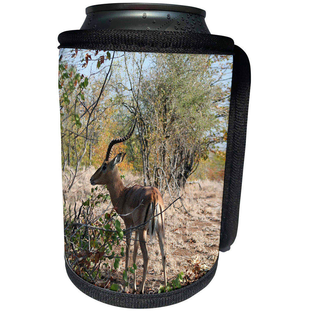 3dRose Angelique Cajams Safari Animals - South African Impala with horns - Can Cooler Bottle Wrap (cc_26816)