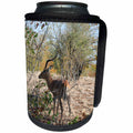 3dRose Angelique Cajams Safari Animals - South African Impala with horns - Can Cooler Bottle Wrap (cc_26816)