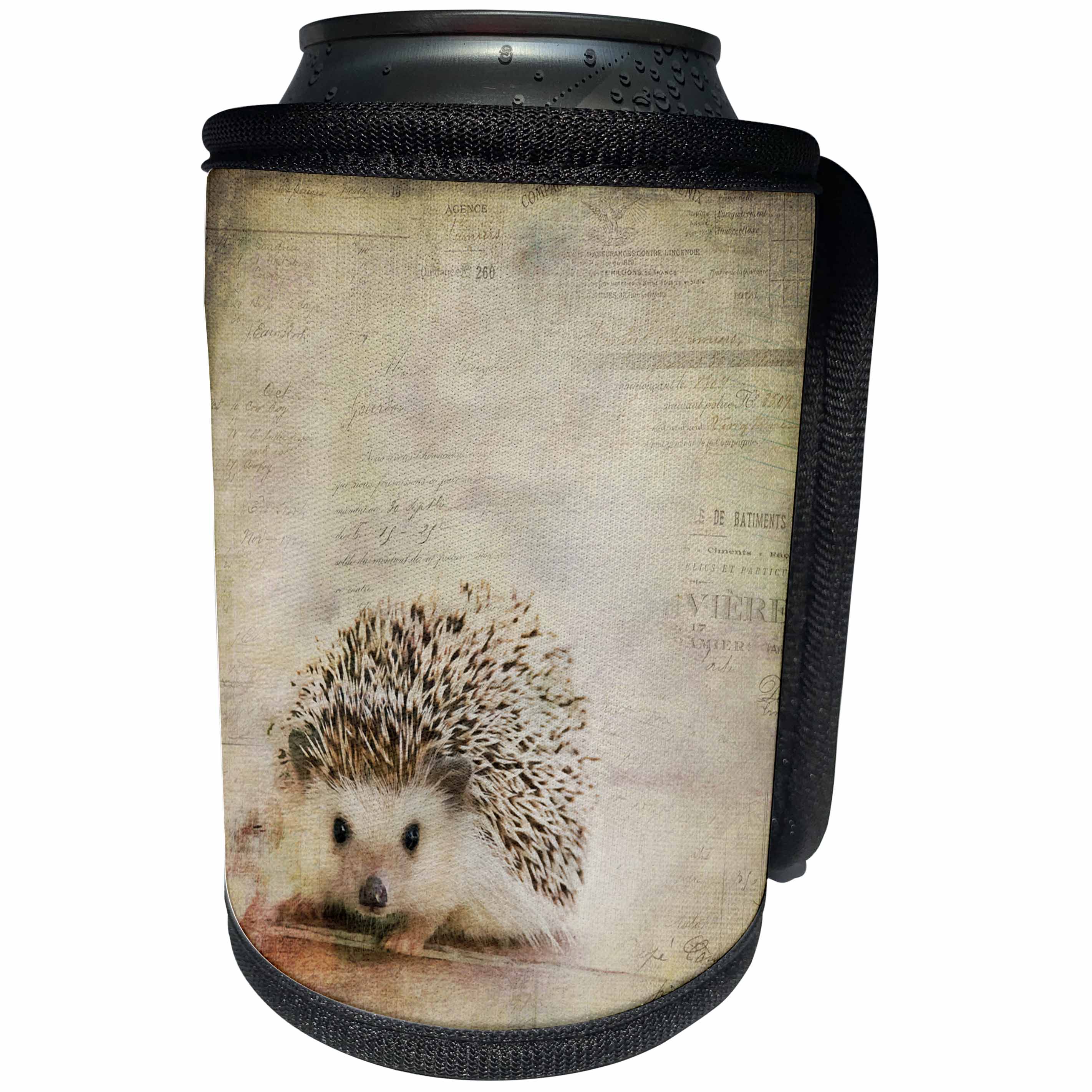 3dRose Andrea Haase Animals Illustration - Hedgehog Mixed Media Art With Typographic Elements - Can Cooler Bottle Wrap (cc_268162)