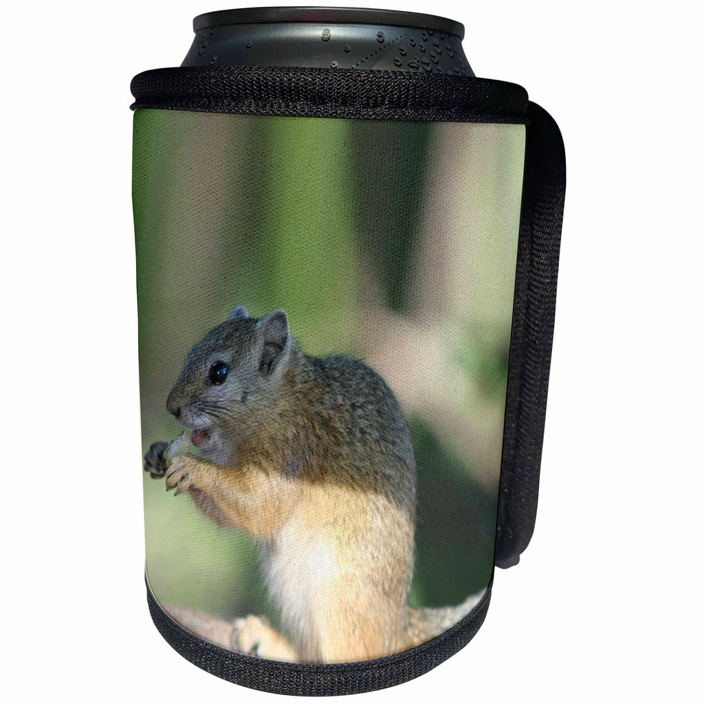 3dRose Angelique Cajams Safari Animals - South African Squirrel side view - Can Cooler Bottle Wrap (cc_26819)