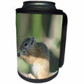 3dRose Angelique Cajams Safari Animals - South African Squirrel side view - Can Cooler Bottle Wrap (cc_26819)