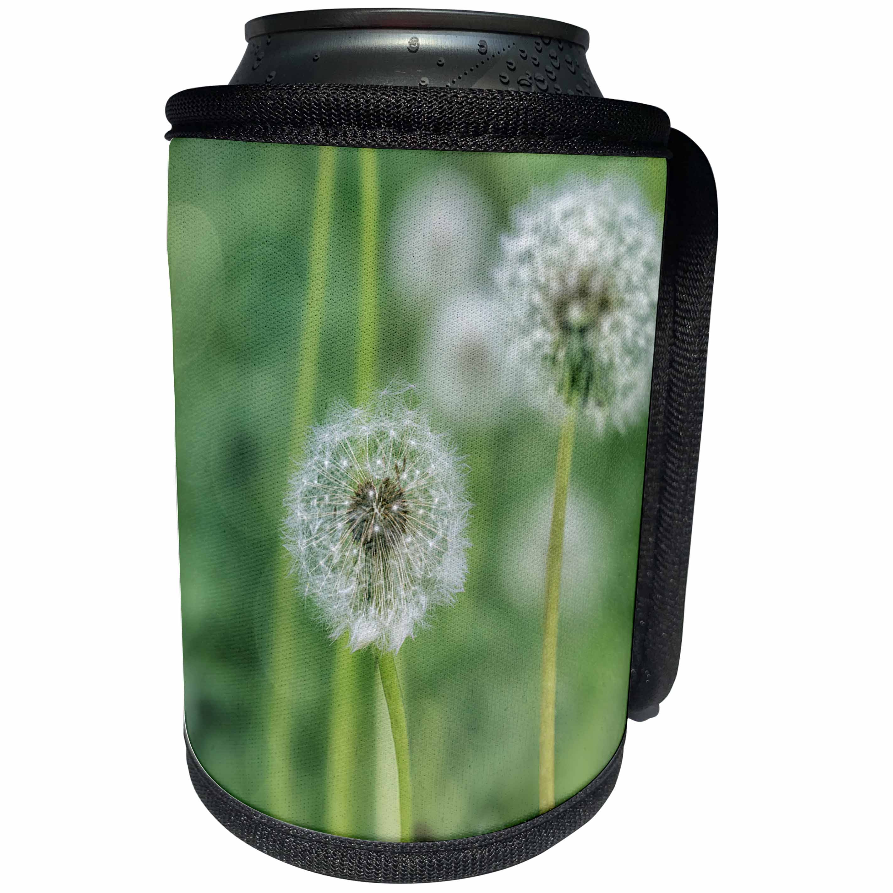 3dRose Andrea Haase Nature Photography - Dandelion Flower Close Up Photography - Can Cooler Bottle Wrap (cc_268191)