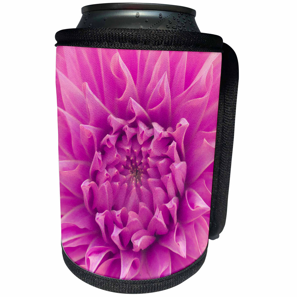 3dRose Andrea Haase Nature Photography - Pink Dahlia Flower Close Up Photography - Can Cooler Bottle Wrap (cc_268193)